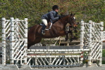rosemountthumbnail