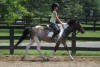 Dressytrot_011_small